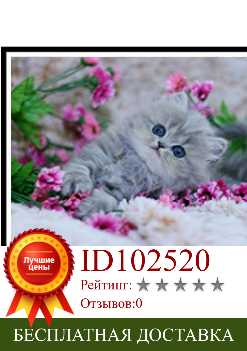 Изображение товара: DIY 5D алмазная живопись милые животные кошка цветок круглые алмазы ручной работы вышивка крестиком Набор Мозаика Украшение Дома