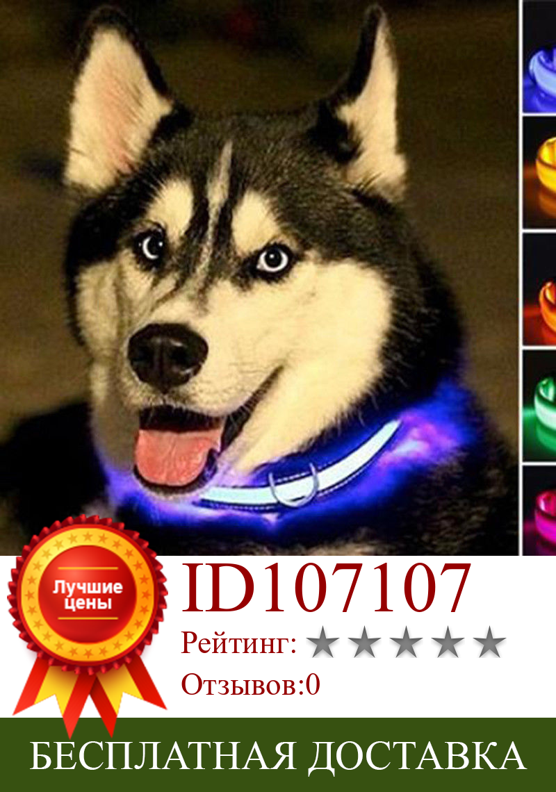 Изображение товара: Нейлоновый светодиодный ошейник для собак, ночная безопасность, светится в темноте, поводок для собак, светящиеся флуоресцентные ошейники для домашних животных