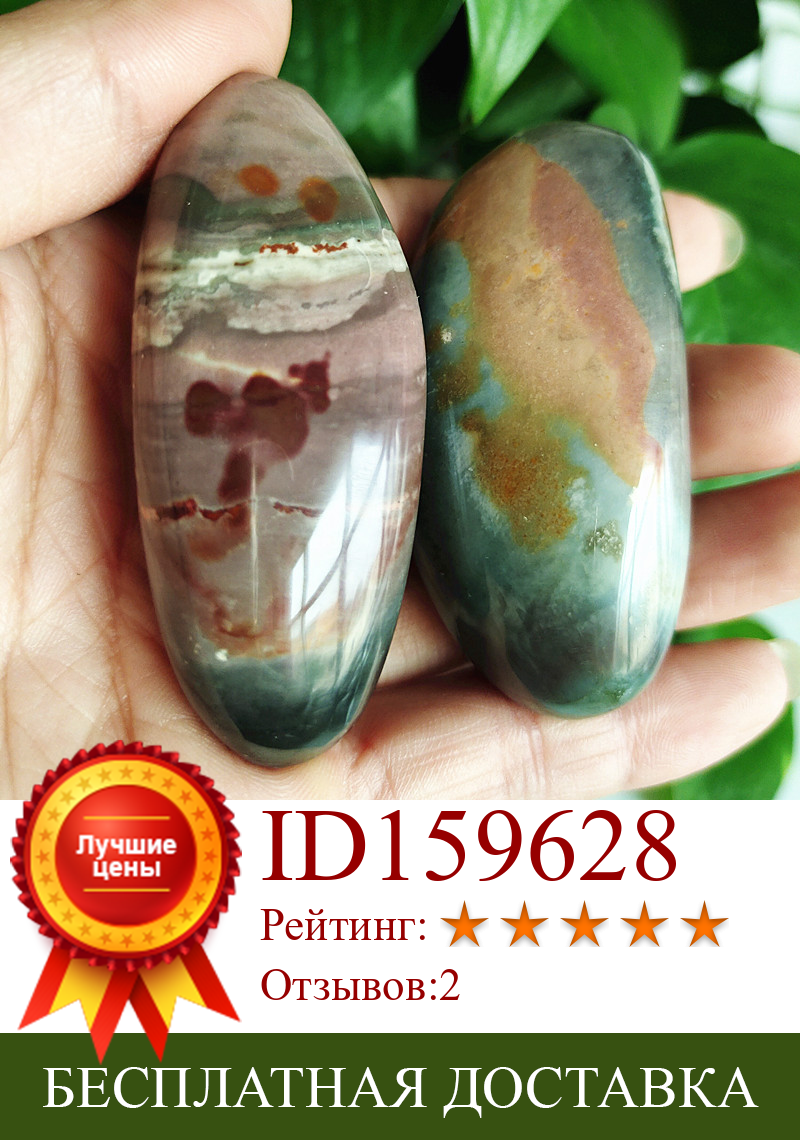 Изображение товара: Натуральный камень, морская ладонь, Исцеляющие кристаллы, Декоративные Коллекционные камни и кристаллы