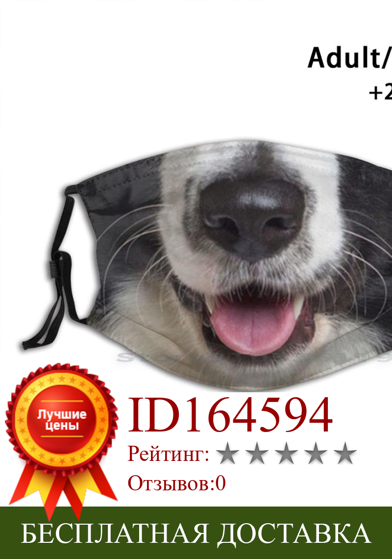Изображение товара: Лицевая маска Border Collie для любителей собак, карантин, лицевая печать, многоразовый фильтр Pm2.5, маска для рта «сделай сам», детская маска с животными, граница колли, забавная граница
