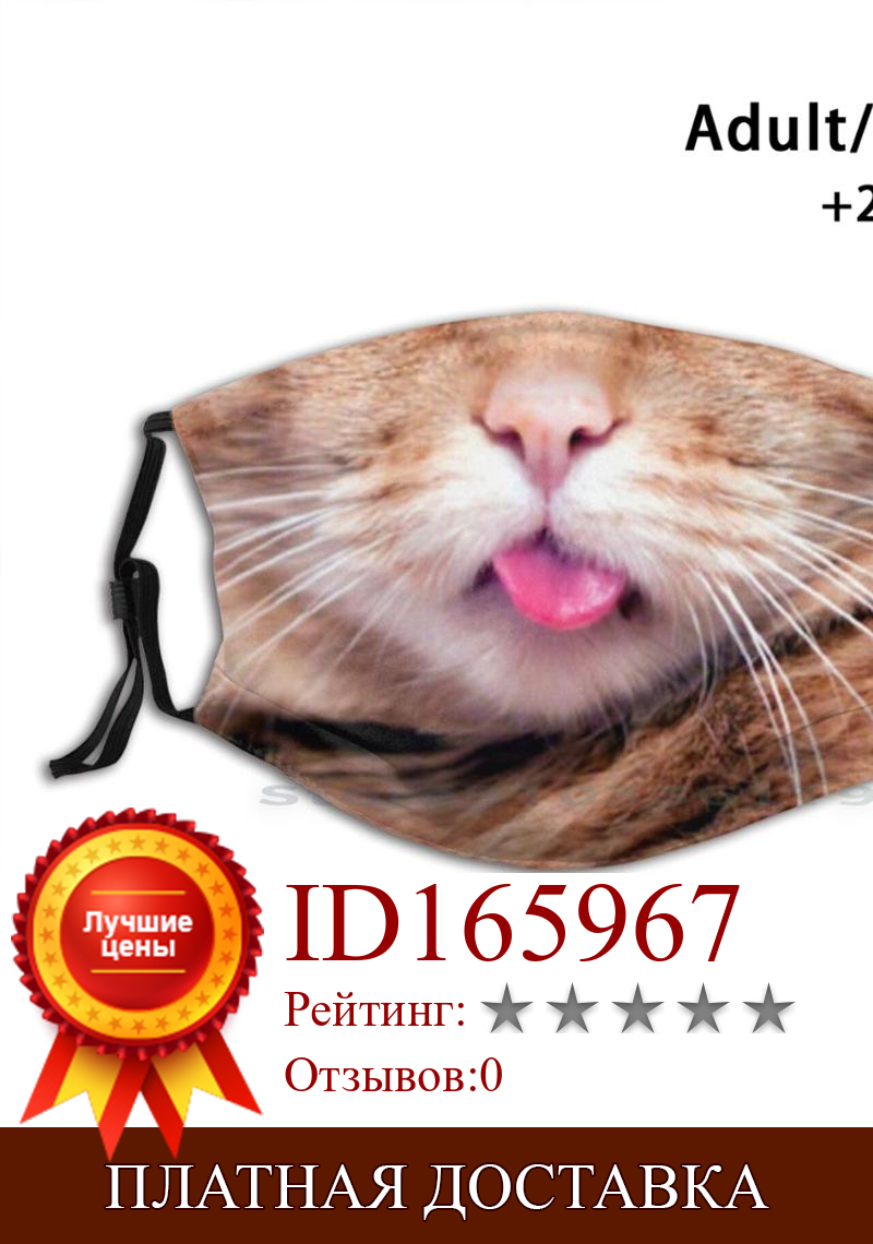 Изображение товара: Многоразовая маска для рта Ginger Cat Mouth Print Pm2.5 с фильтром, «сделай сам», маска для рта для детей, оставайтесь здоровым, спасите жизни, остановите распространение
