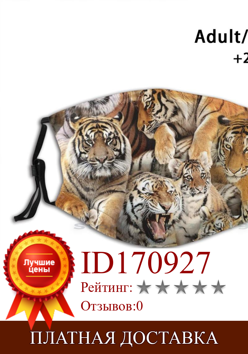 Изображение товара: Многоразовая маска с принтом тигров Pm2.5, фильтр, маска для лица, тигры, львы, кошки, Большие кошки, животные из зоопарка