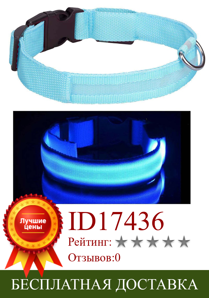 Изображение товара: USB Перезаряжаемый светодиодный ошейник для собак и домашних животных, светящиеся ошейники для собак кошек, регулируемый нейлоновый ошейник для щенков и кошек