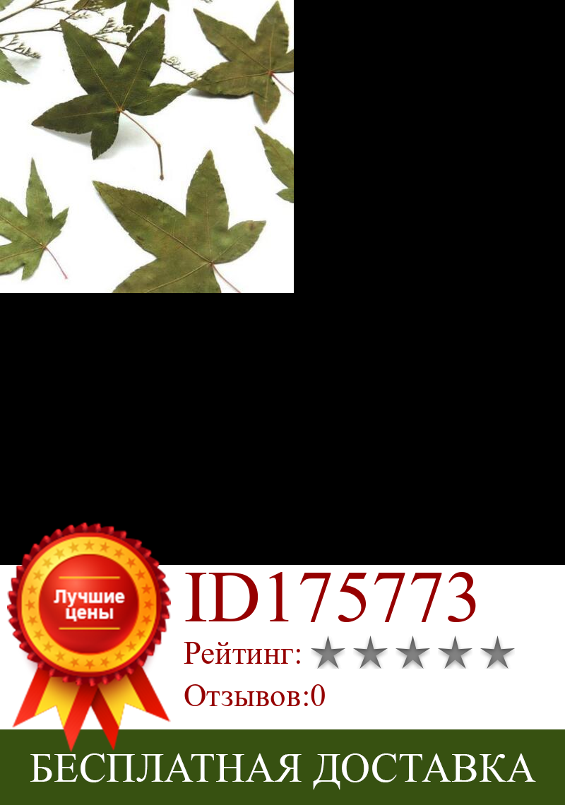 Изображение товара: 10 шт./лот кленовые листья сушеные цветы зеленые сушеные прессованные листья для изготовления поздравительных открыток ручной работы свечи