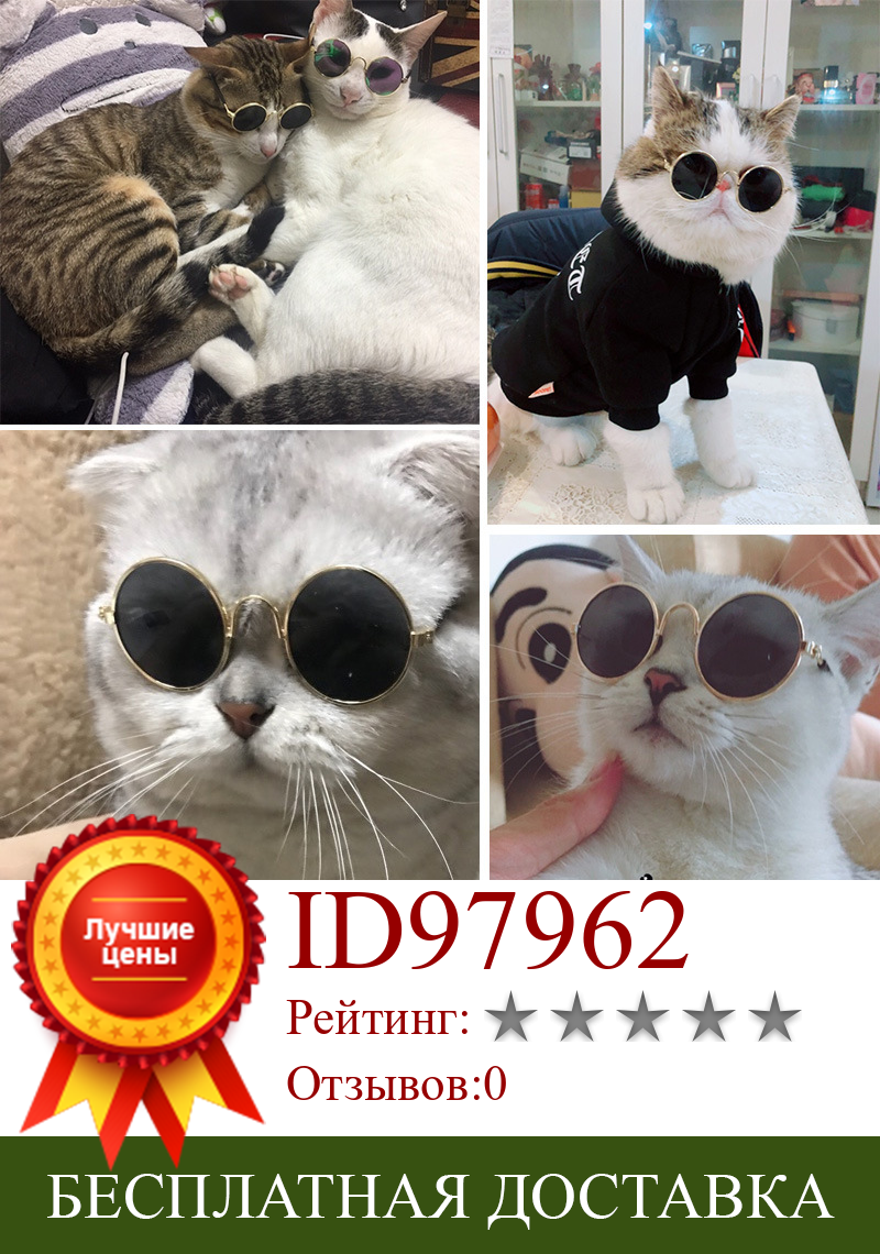 Изображение товара: Pet Glasses Mini Cat Sunglasses Teddy Dog Cool Trend Sun Glasses Pet Decorations