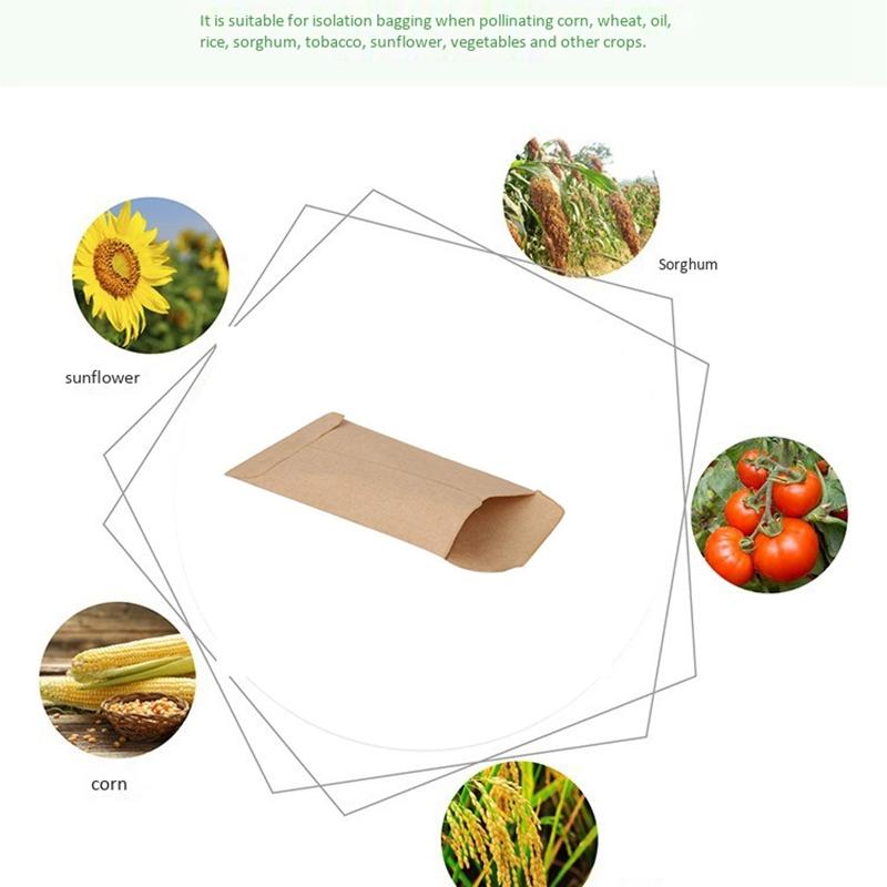 Изображение товара: 100 шт коричневый крафт мешок для разведения семян используется для хранения семян, небольших частей, монет, ювелирных изделий и т. Д. (Около 6х11 см)