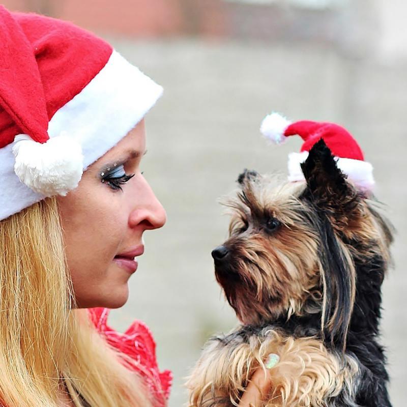 Изображение товара: 2/1 шт. Рождественская шапка в виде кота, собаки, Санта-Клауса, зимние теплые плюшевые рождественские шапки, рождественские новогодние шапки, украшения, рождественские украшения
