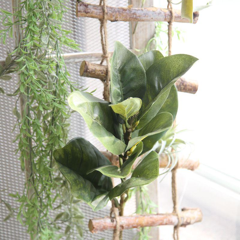 Изображение товара: Комнатные ботаники настенные искусственная Магнолия листья шелковые цветы для украшения дома поддельные листья пластиковые растения ветки зеленые растения