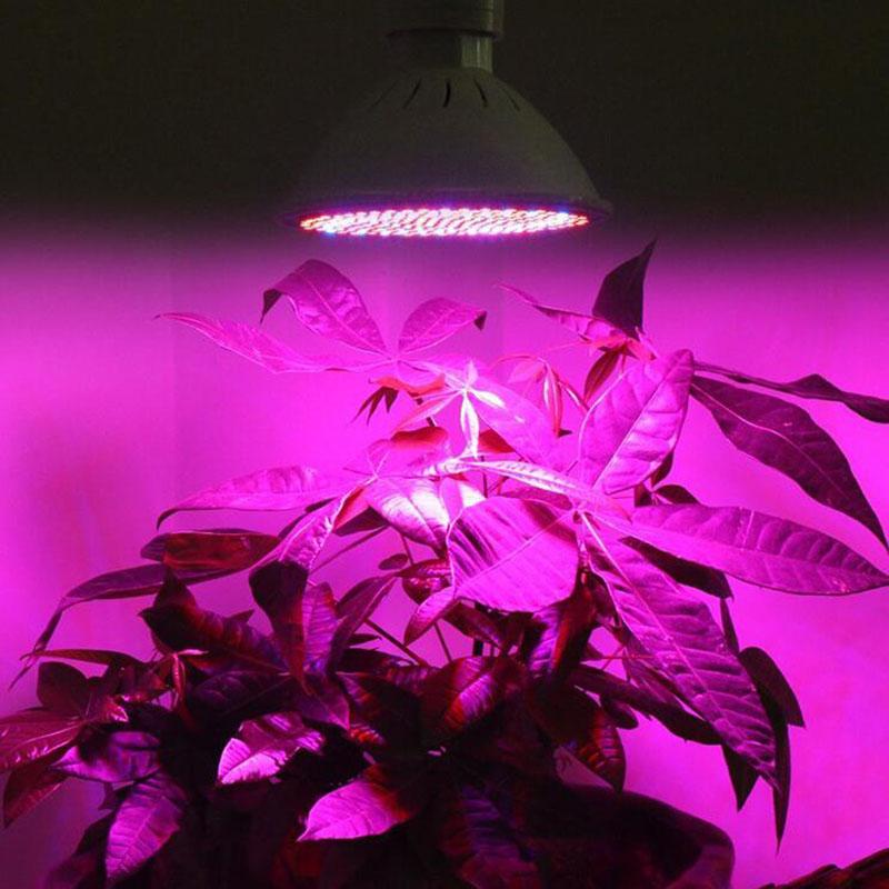 Изображение товара: полный спектр 20 Вт светодиодный лампа для выращивания E27 Светодиодный светильник для выращивания растений светильник красно-синие ЖК-индикаторы для растений лампа для роста цветов фитолампа для рассады