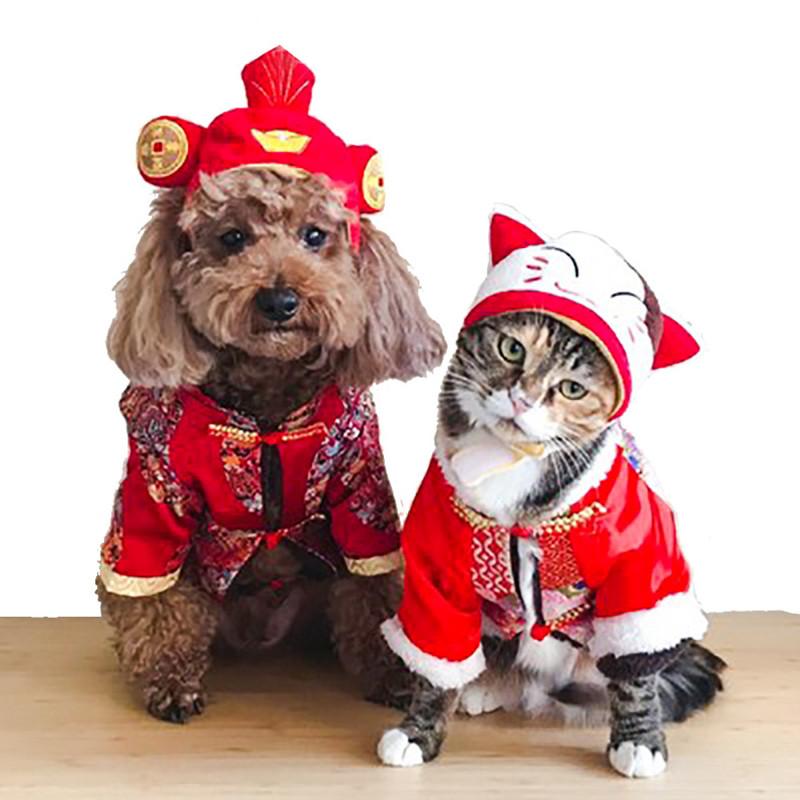 Изображение товара: Платье-тиара на Хэллоуин, парик, шляпа для кошек, украшение для домашних животных, товары для домашних животных, милая кошка и собака, рождественские аксессуары для волос Qianyi