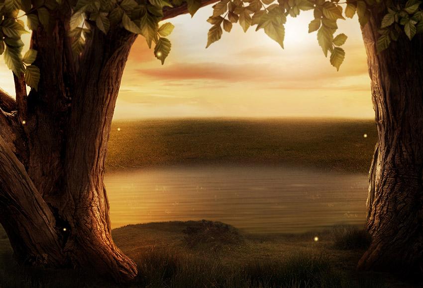 Изображение товара: Фотофон Mehofond осень закат Дерево природный пейзаж трава ребенок портрет фотография Фон Фотостудия фотосессия