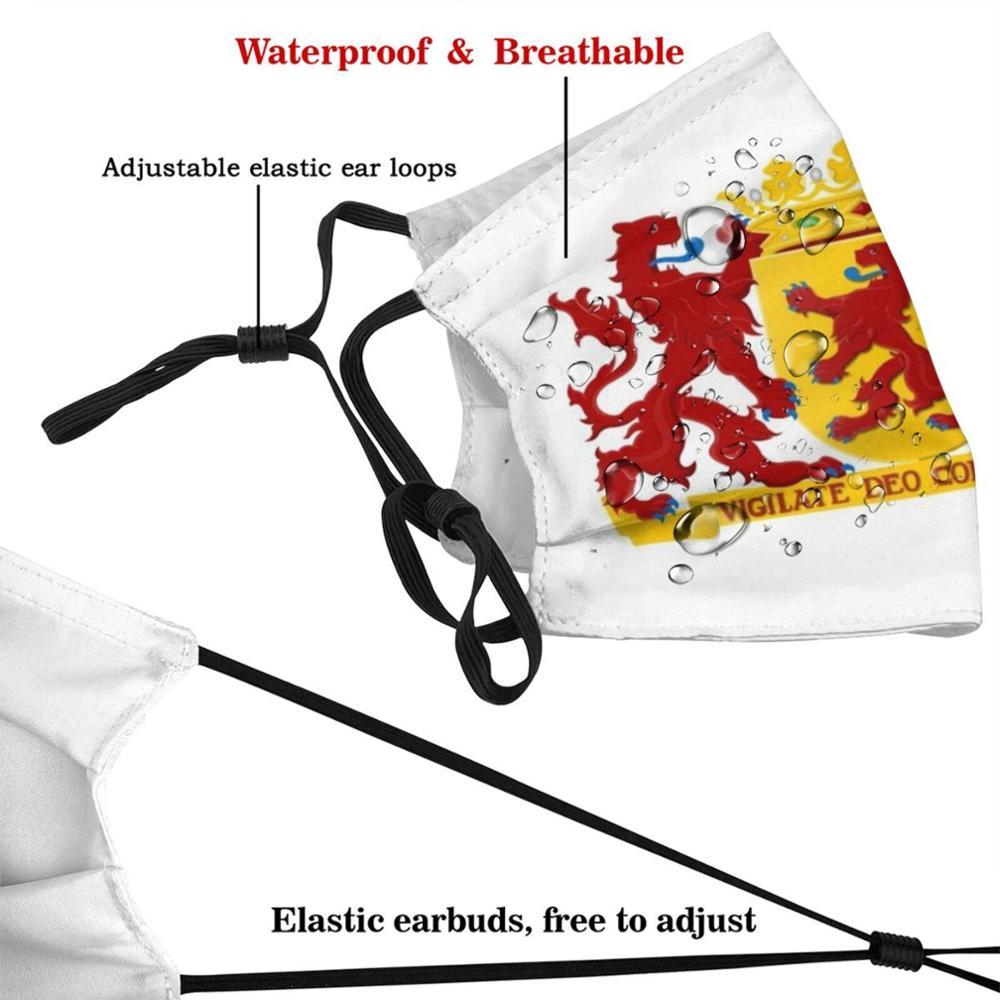 Изображение товара: South Holland Coat Of Arms , Netherlands Print Reusable Mask Pm2.5 Filter Face Mask Kids Holland Nl Nederland Netherlands South