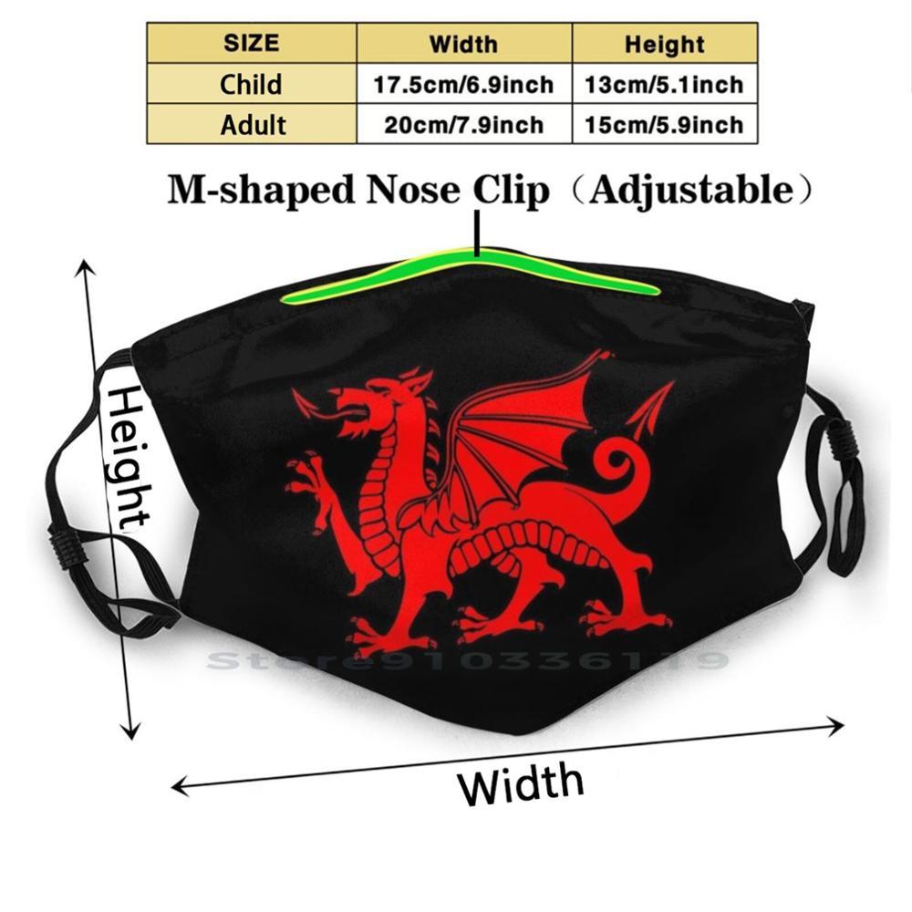 Изображение товара: Welsh Dragon Cymru многоразовая маска для лица с фильтрами для детей Welsh Dragon Wales Dragon Cymru Red Dragon Wales Welsh Dragon