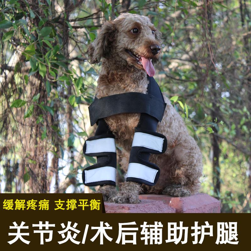 Изображение товара: Dog Legguard Pet Supplies Night Light Kneecap Golden Retriever Poodle Leg Injured Surgery Auxiliary Belt