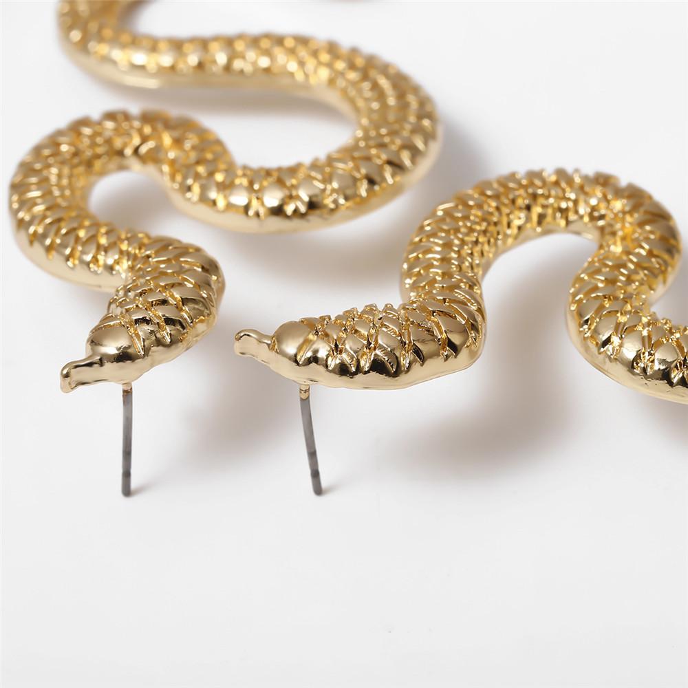 Изображение товара: Европейские ювелирные изделия, персонализированные серьги-гвоздики с изображением искаженной змеи и геометрической формы для женщин