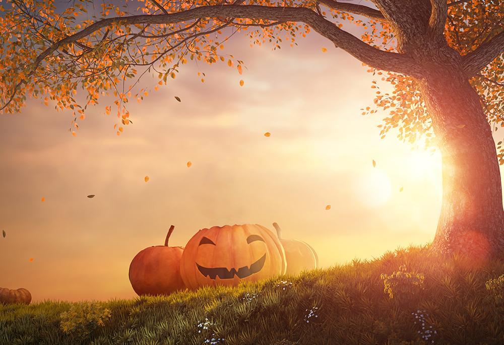 Изображение товара: Фон для студийной фотосъемки с изображением тыквы осенних листьев на Хэллоуин