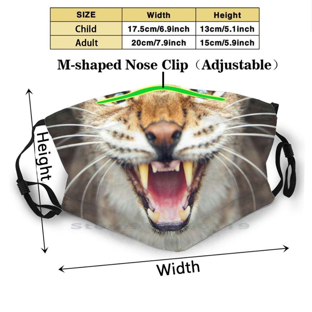 Изображение товара: Дикие усы рот дизайн Пылезащитный фильтр смываемая маска для лица дети дикий кот усы Мех Кожа Леопардовый кожа Животные Олень