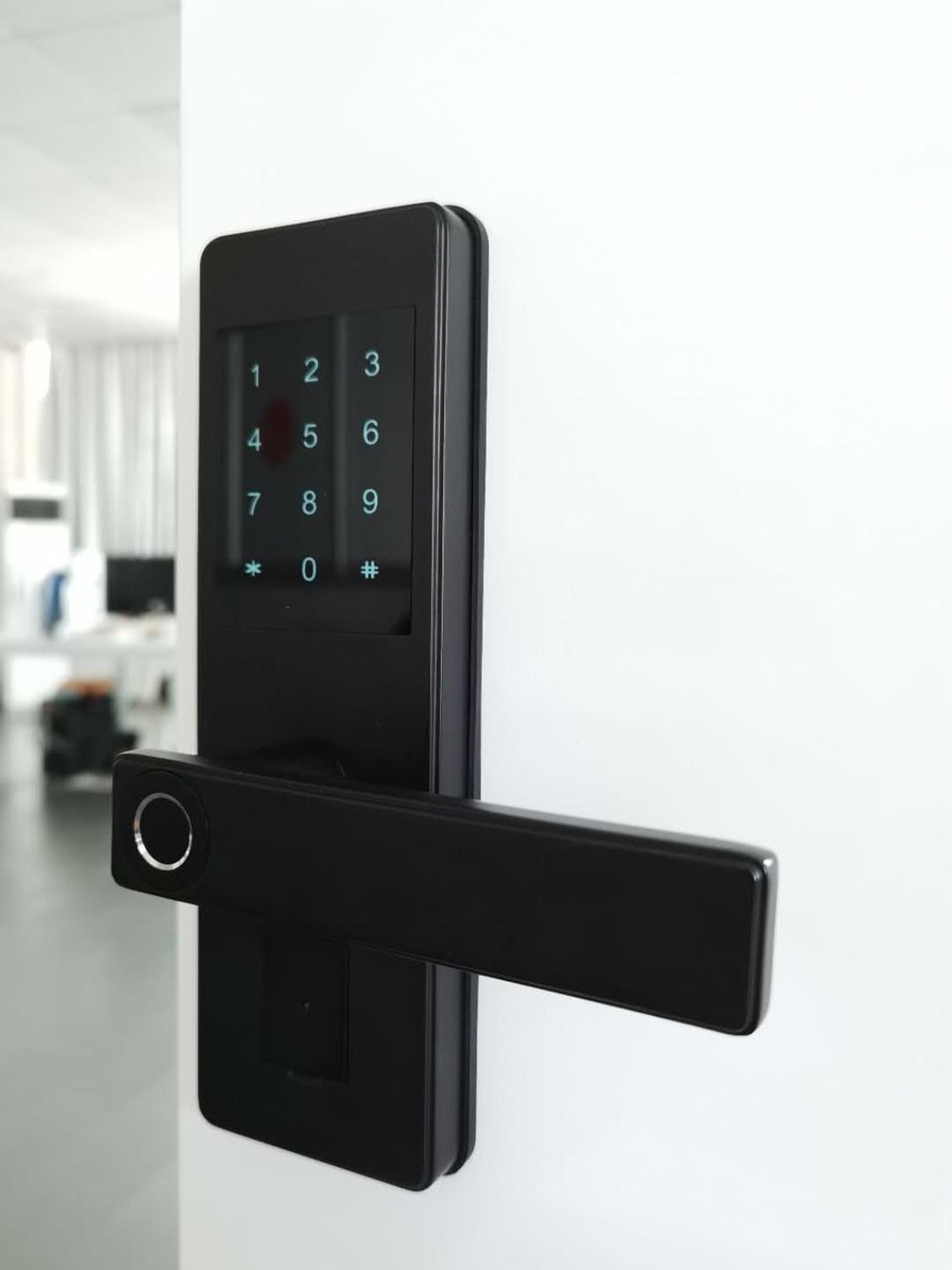 Изображение товара: TTlock приложение отпечатков пальцев Умный Замок, wifi приложение pincode клавиатуры электронный дверной замок, биометрический замок отпечатков пальцев smartlock