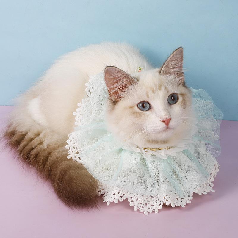 Изображение товара: Двухслойный кружевной маленький свежий шарф для домашних животных с бусинами аксессуары для домашних животных шарф воротник для кошек