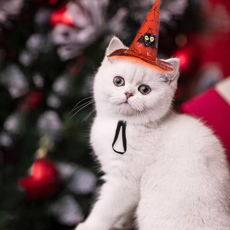 Изображение товара: Creative New Products Pet Supplies Cat Halloween Christmas Hat Spider Pumpkin Head Band Dog Funny Headdress