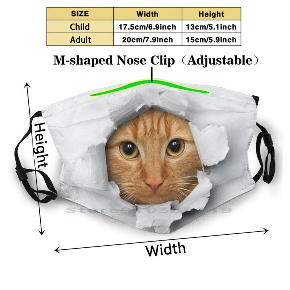 Изображение товара: Забавная многоразовая маска для рта РМ2, 5, фильтр, сделай сам, детская Милая забавная кошачья кошка, животные, кошачьи кошки, имбирный Кот, забавная