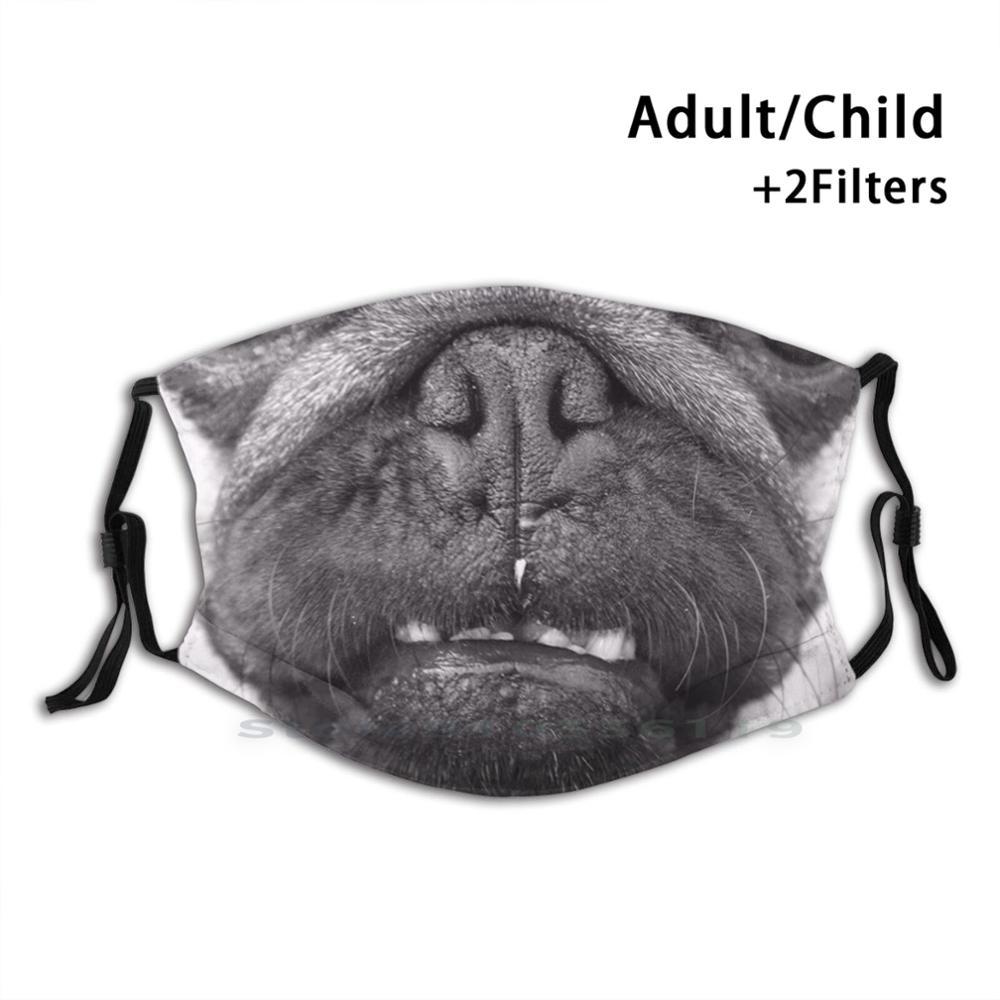 Изображение товара: Милые мопса рот для взрослых детей моющаяся забавная маска для лица с фильтром собаки нос мопса собака мопса любитель мопса владелец Мопса