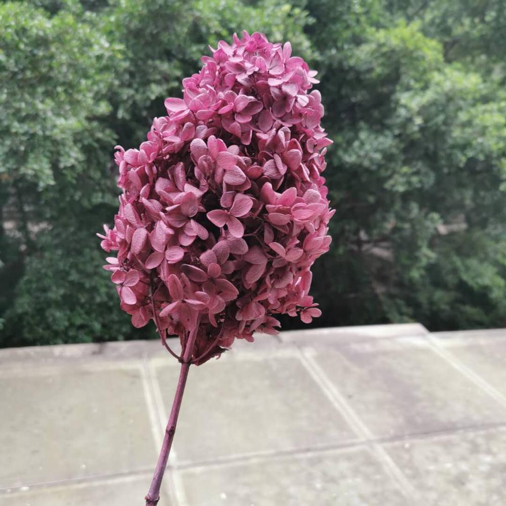 Изображение товара: Искусственные цветы, настоящая Гортензия с стеблем, 15-18 см, для украшения дома, свадьбы, вечеринки