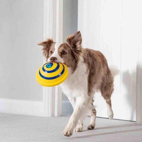 Изображение товара: Игрушка для собак Звук дисковая игрушка развлечения-игрушки для собак-игрушки звуковой диск для домашних животных-игрушечный Планер для пищащих собак Woof Unique
