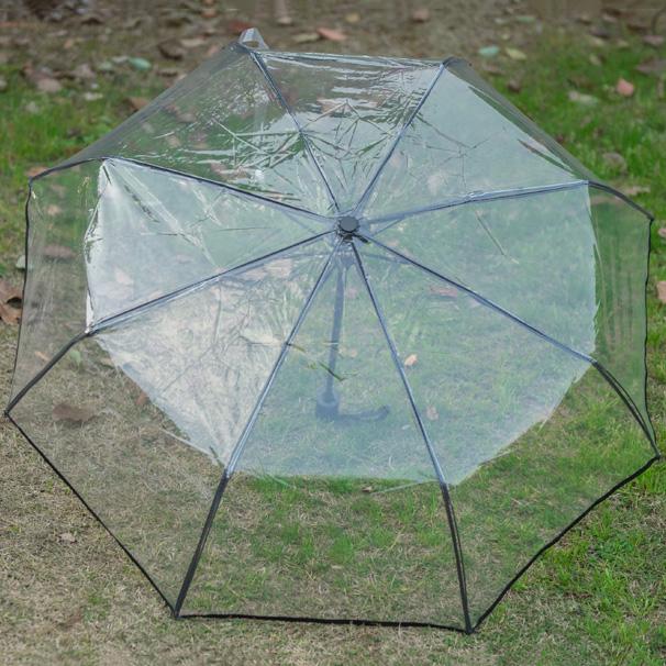 Изображение товара: Зонт Автоматический, складной, ветрозащитный, прозрачный