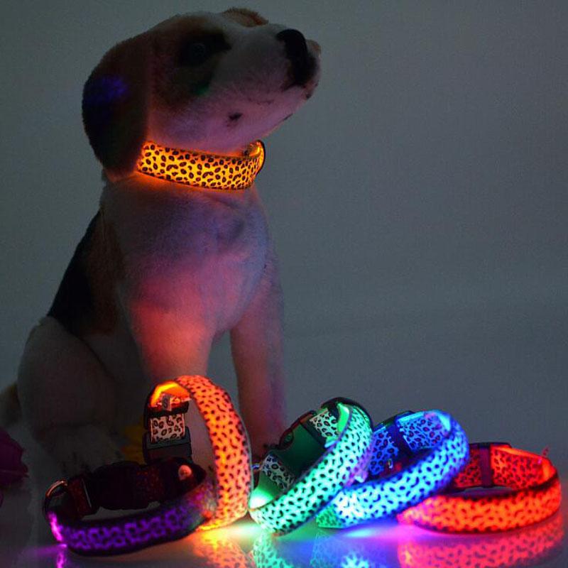 Изображение товара: Ошейник для домашних животных, Светодиодный светящийся поводок для собак, флуоресцентная подсветильник, ночная безопасность