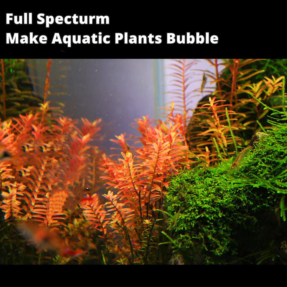 Изображение товара: Светодиодная аквариумная лампа Chihiros серии C, полный спектр, класс защиты IP67, водонепроницаемая лампа для аквариума для растений, светильник для рыбалки, 110-240 В