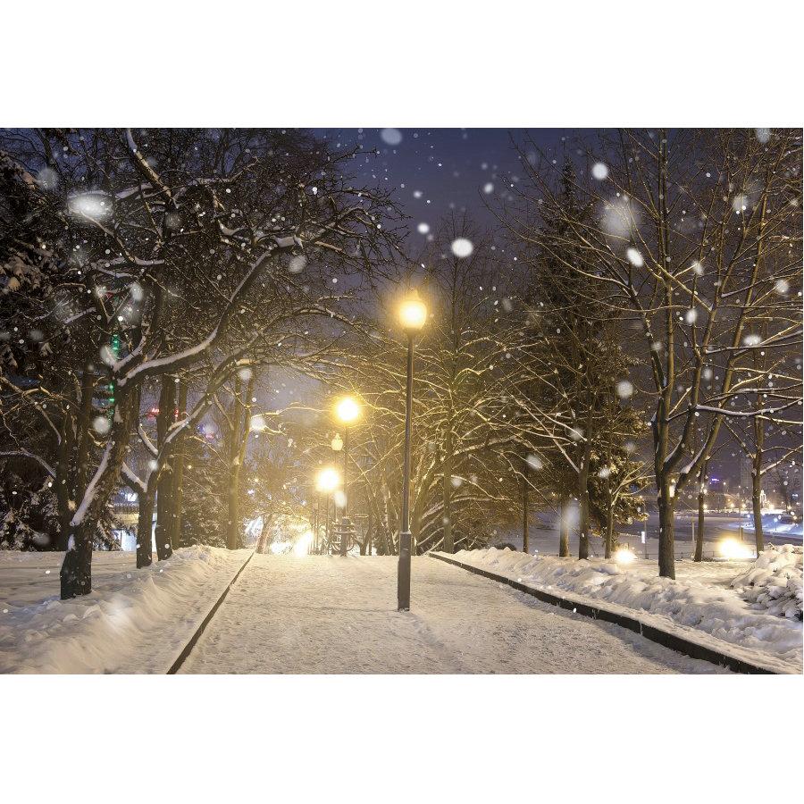 Изображение товара: Зимние уличные фонари, фотообои для снежной сцены, фотобудка для украшения семейной вечеринки