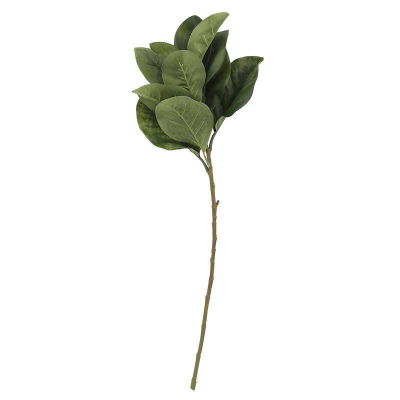 Изображение товара: Комнатные ботаники настенные искусственная Магнолия листья шелковые цветы для украшения дома поддельные листья пластиковые растения ветки зеленые растения