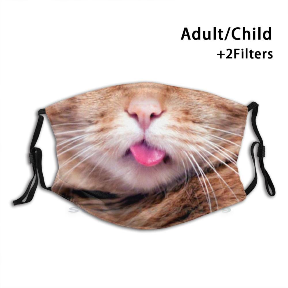 Изображение товара: Многоразовая маска для рта Ginger Cat Mouth Print Pm2.5 с фильтром, «сделай сам», маска для рта для детей, оставайтесь здоровым, спасите жизни, остановите распространение