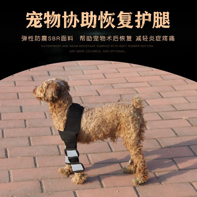 Изображение товара: Dog Legguard Pet Supplies Night Light Kneecap Golden Retriever Poodle Leg Injured Surgery Auxiliary Belt