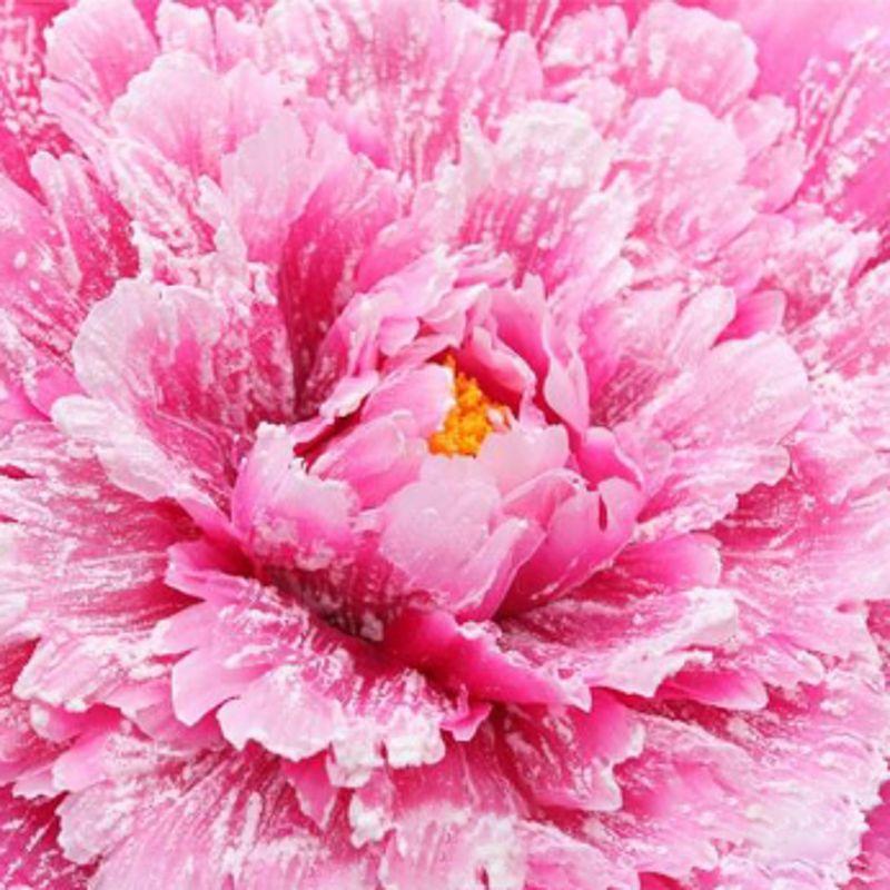 Изображение товара: Несколько размеров свадебный цветок большой Шелковый Искусственный цветок пион голова для Diy цветок фон украшение стены