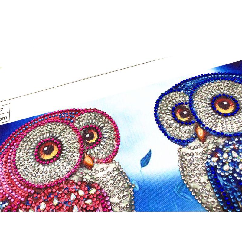 Изображение товара: Алмазная картина особой формы с изображением совы 5D, Набор для вышивки крестиком из страз