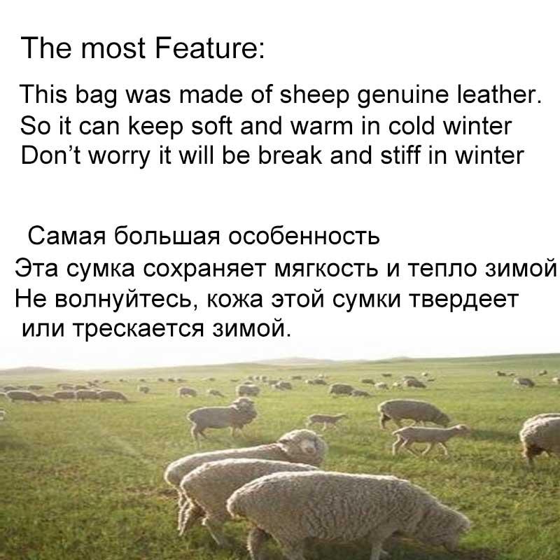 Изображение товара: Мужская поясная сумка MVA, поясные сумки из натуральной овечьей кожи, поясная сумка для мужчин, забавные поясные сумки для мужчин, поясные сумки 8879