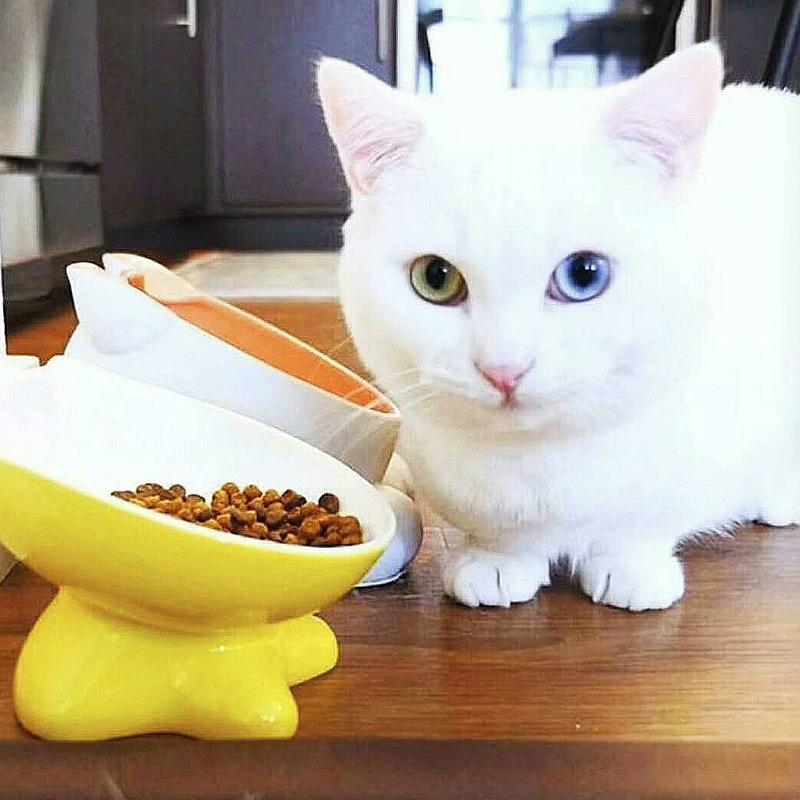 Изображение товара: Новая наклонная поднятая керамическая миска для домашних животных милая миска для кормления кошек и маленьких собак