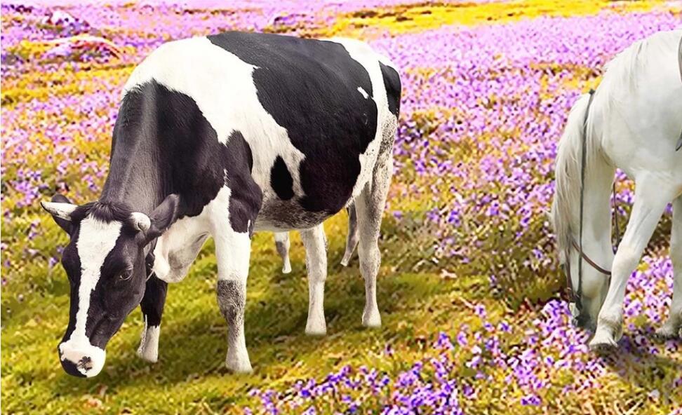 Изображение товара: Индивидуальные 3D Настенные обои dreamland цветок море ранчо пейзаж живопись маслом живопись фон стены украшение живопись
