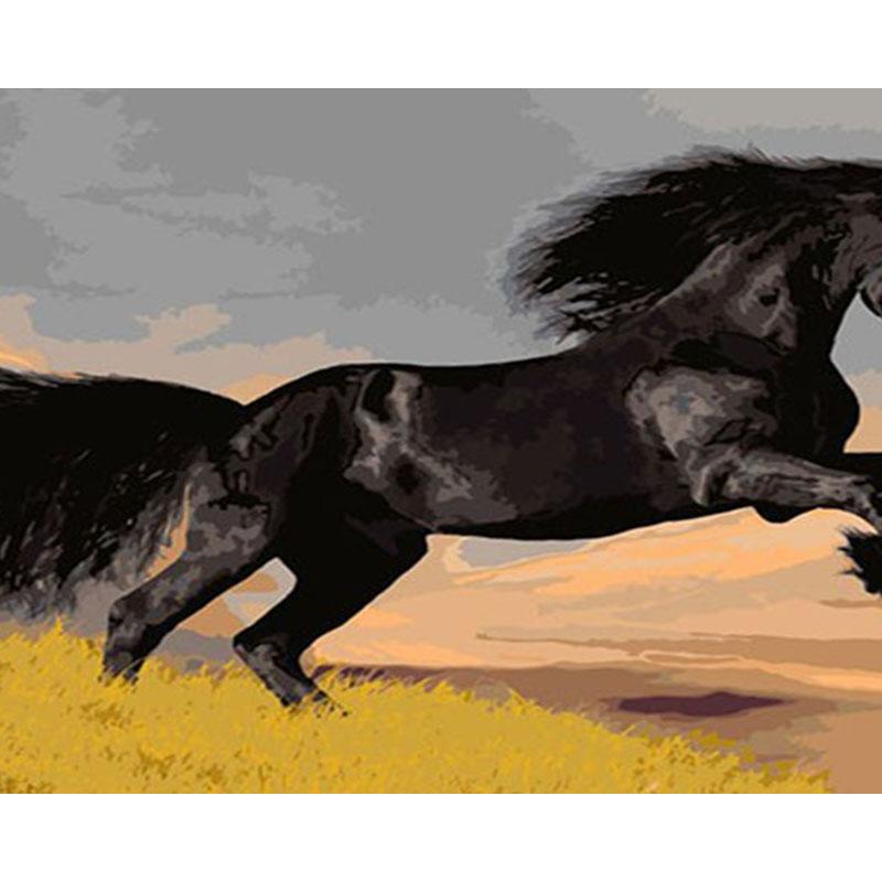 Изображение товара: Краски ing Раскраска по номерам Лошадь Животное рамка живопись на холсте акриловая Краски картина маслом по номерам Цвет рисунок 