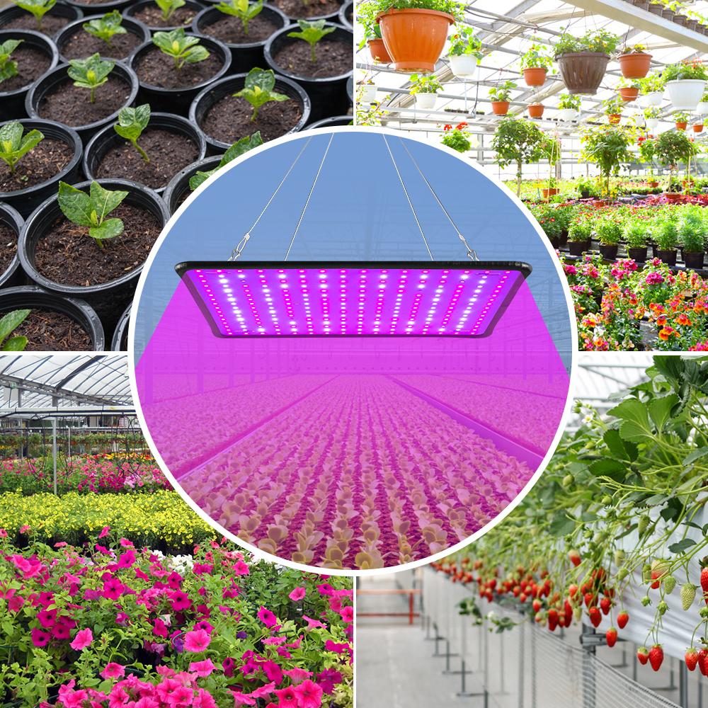 Изображение товара: Светодиодсветильник ламсветильник полного спектра для выращивания растений, комнатная лампа для фитоламп, 2000 светодиодный, 220 В