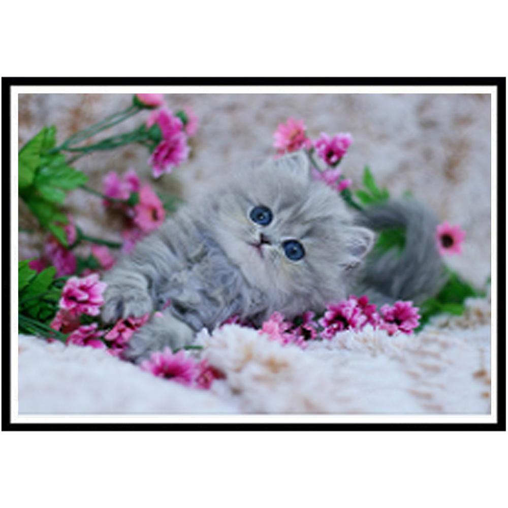 Изображение товара: DIY 5D алмазная живопись милые животные кошка цветок круглые алмазы ручной работы вышивка крестиком Набор Мозаика Украшение Дома