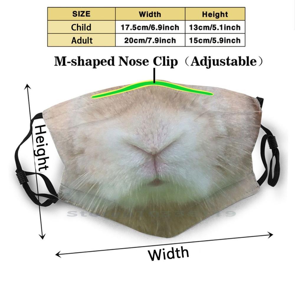 Изображение товара: Забавная моющаяся маска для лица с маски для лица с изображением животных ртом и фильтром для взрослых и детей