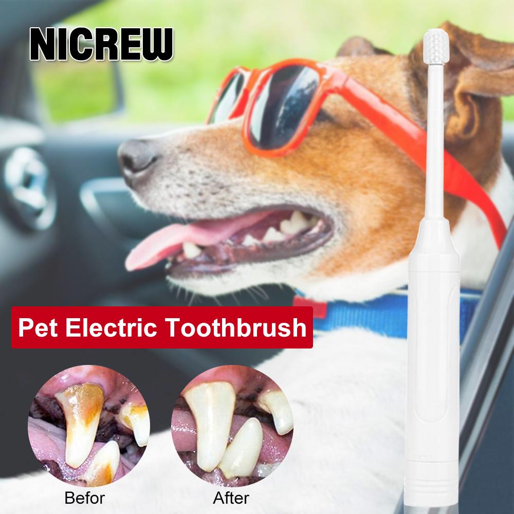 Изображение товара: Электрическая зубная щетка NICREW для домашних животных, для собак и кошек, 360 °, автоматическая чистка зубов, неприятный запах изо рта, уход за зубным камнем, товары для чистки собак и кошек