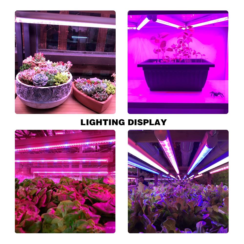 Изображение товара: Phytolamp светодиодный светильник для выращивания растений 5730 Fitolampy 50 м трубчатый комнатный светильник для роста аквариума, теплица для выращивания растений для аквариума
