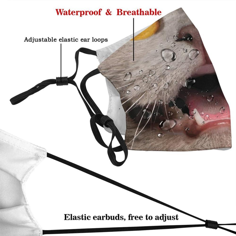 Изображение товара: Многоразовая маска с принтом котенка рта, фильтр Pm2.5, детская маска для лица с изображением котенка, киски, зубов