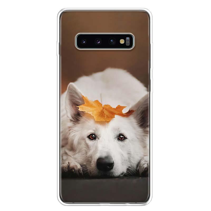 Изображение товара: Крутой чехол Bernese Mountain Dog Для Samsung S22 Plus Galaxy S20 FE S10 Lite S9 S8 S7 Edge S21 Ultra J8 J6 J4 S6, чехол