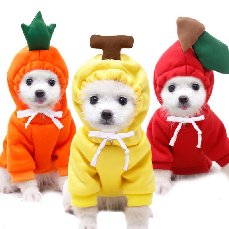 Изображение товара: Одежда для домашних животных, котов для маленьких собак, пальто, фруктовый костюм для питомцев, куртка для собак, щенков, шнауцер, толстовки, одежда для французского бульдога, пудель