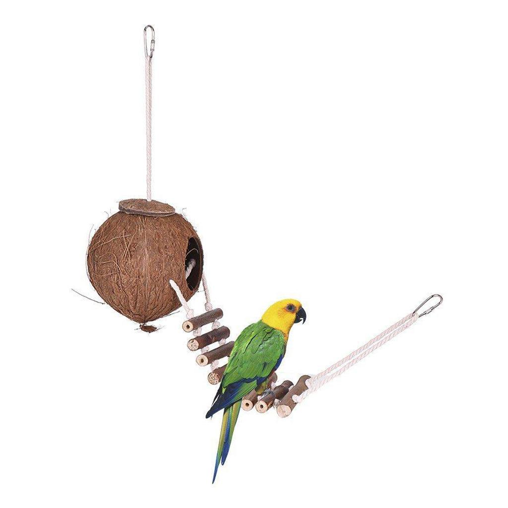 Изображение товара: Подвесное кокосовое гнездо для птиц, кормушка с забавной лестницей, маленькие животные, места обитания домашних животных